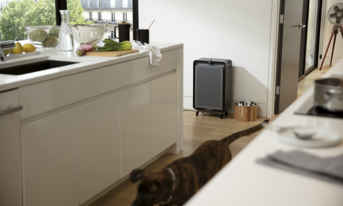 Pożegnaj się z nieprzyjemnymi zapachami w domu