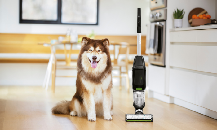 Funkcja samooczyszczania