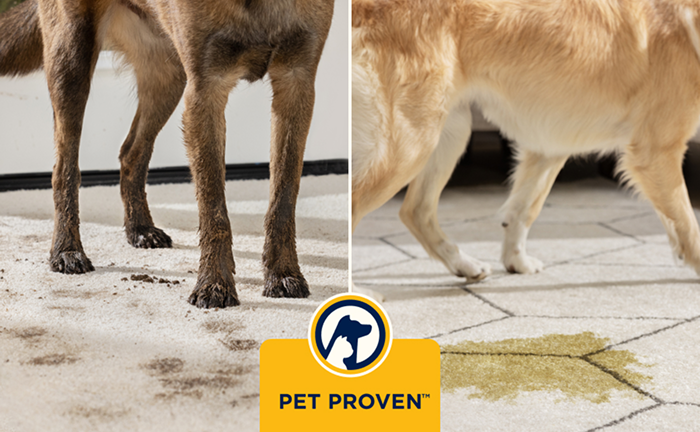 Certyfikat Pet Proven