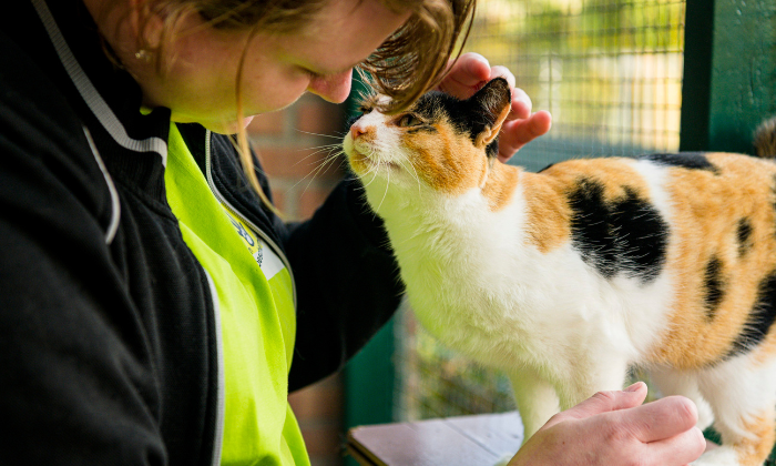 Pomoc w ratowaniu zwierząt
