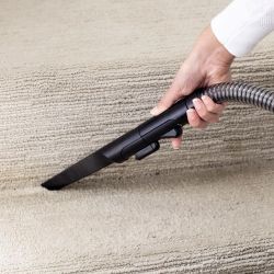 SpotClean Professional 15589