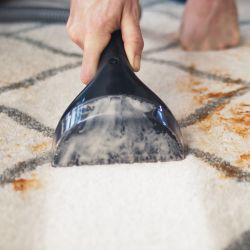 SpotClean Pro 1558N + oczyszczacz powietrza