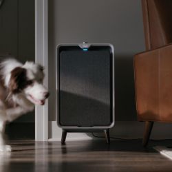 Oczyszczacz powietrza BISSELL Air320 3002N