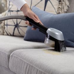 SpotClean Pet Plus 37241