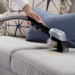 SpotClean Pet Select 37288